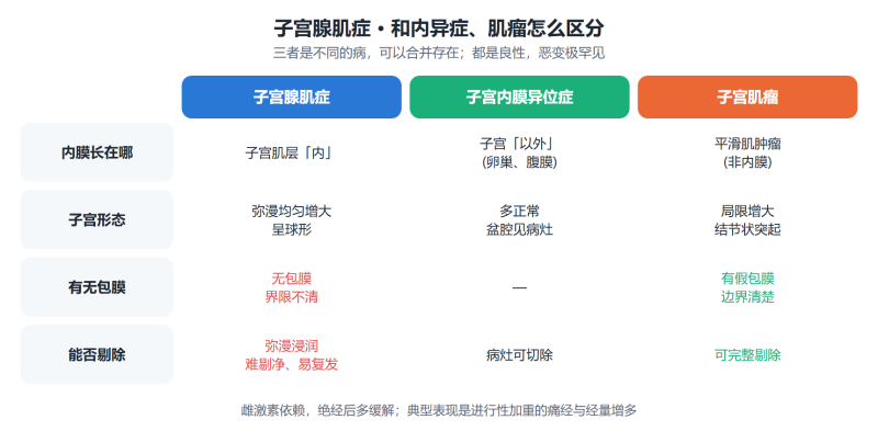 File:zigongxianjizhengshiyi.png