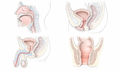 2026年8月28日 (五) 15:51版本的缩略图