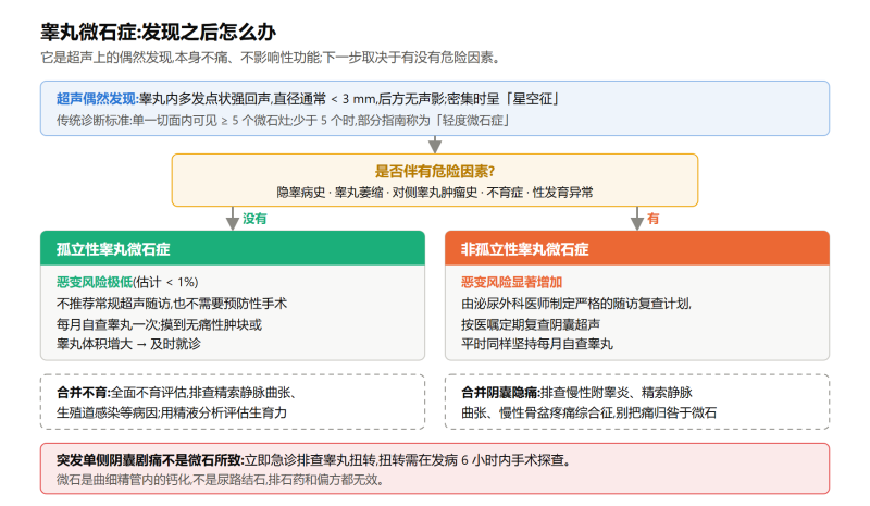 File:gaowanweishizhengshiyi.png