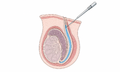 2026年8月29日 (六) 18:41版本的缩略图