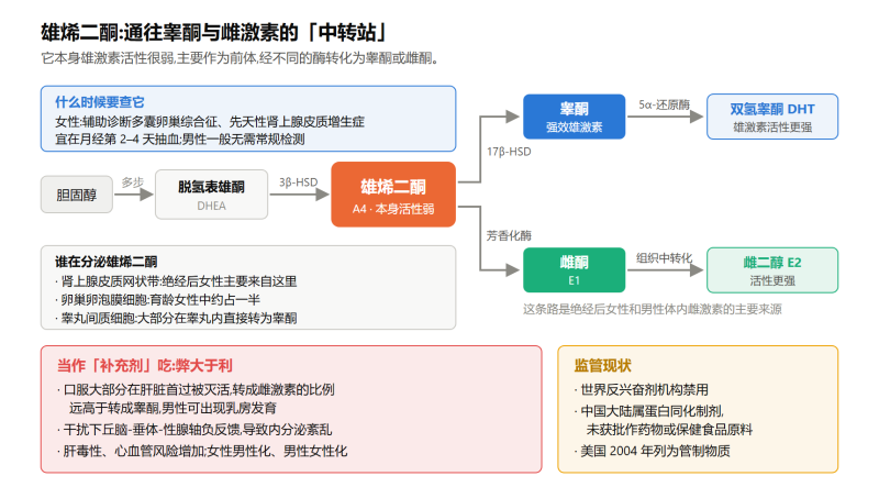 File:xiongxiertongshiyi.png