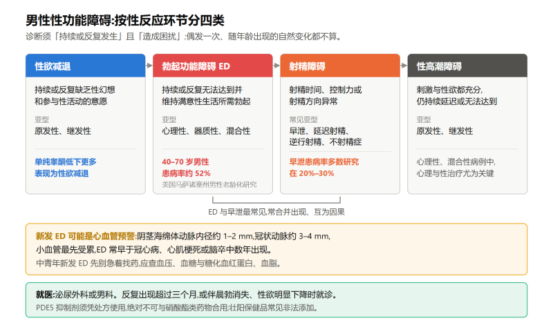 File:nanxingxinggongnengzhangaishiyi.png