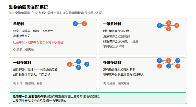 File:dongwujiaopeixitongshiyi.png