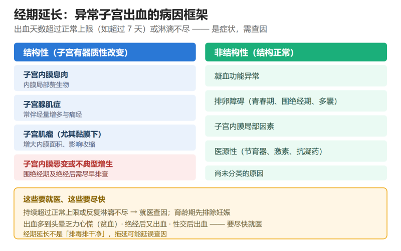 File:jingqiyanchangshiyi.png