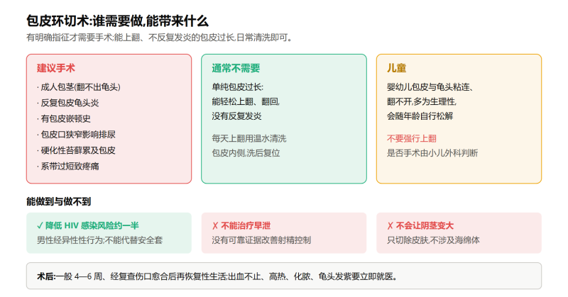File:baopihuanqieshushiyi.png