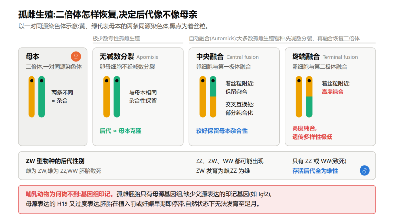 File:dongwugucishengzhijizhishiyi.png