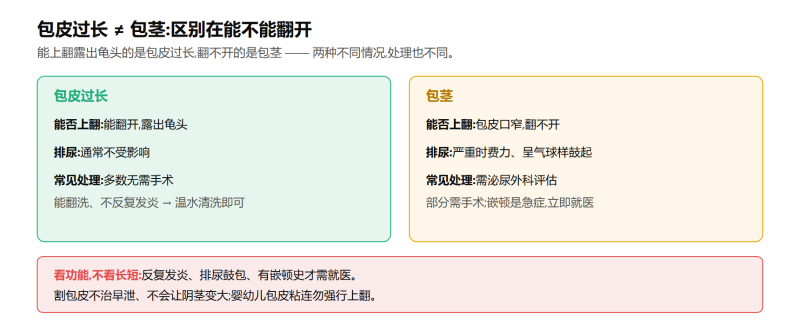 File:baopiguochangshiyi.png