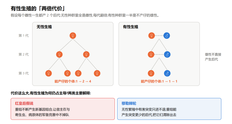 File:dongwujiedexingshiyi.png