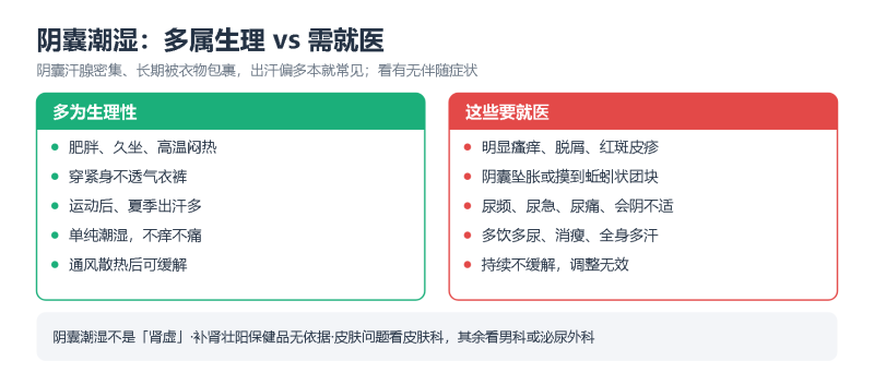 File:yinnangchaoshishiyi.png