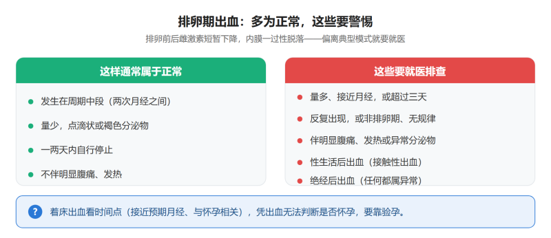 File:pailuanqichuxieshiyi.png