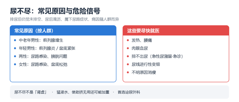 File:niaobujinshiyi.png