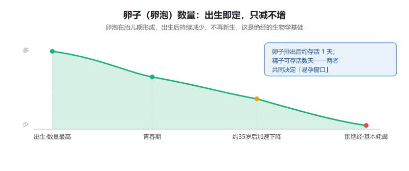 File:luanzishiyi.png